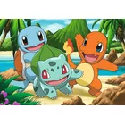 Ravensburger Polska Puzzle 2x24 elementy Pokemon