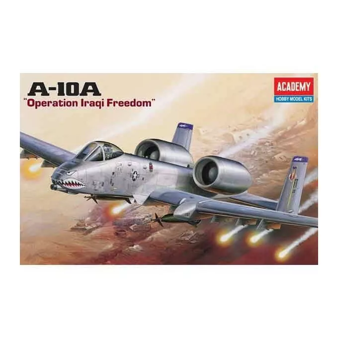 Model plastikowy samolot A-10A 'Operation Iraqi Freedom'