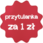 promocja przytulanka za 1 zł